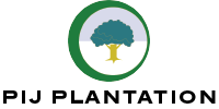 PIJ Plantation